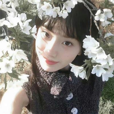 美国紫罗兰
